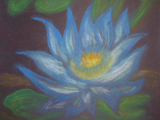 Ella - Blue Lotus